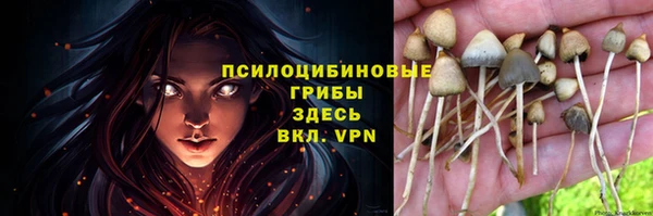 2c-b Кинешма