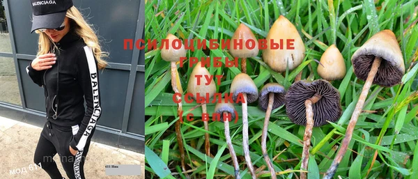 твердый Великий Новгород
