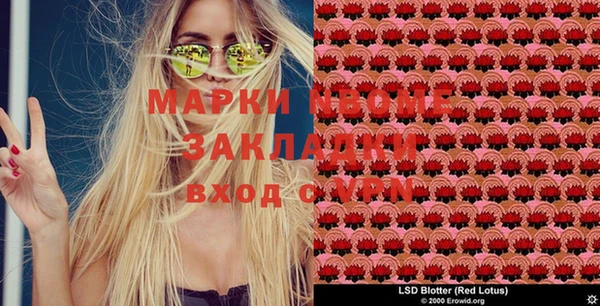 твердый Великий Новгород