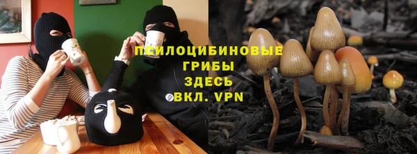 экстази Козельск
