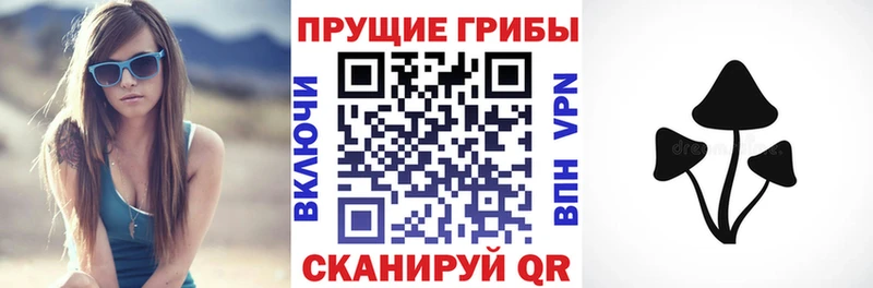 Купить где  Бологое  Галлюциногенные грибы GOLDEN TEACHER 