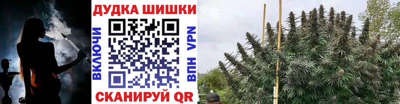 Купить  Бологое  Марихуана марихуана 